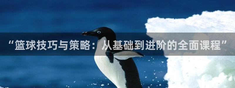 “篮球技巧与策略：从基础到进阶的全面课程”