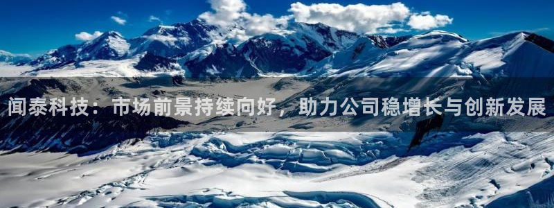 闻泰科技：市场前景持续向好，助力公司稳增长与创新发展