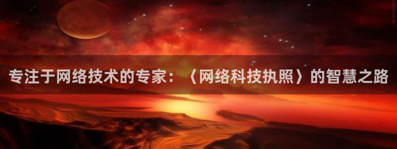 专注于网络技术的专家：〈网络科技执照〉的智慧之路