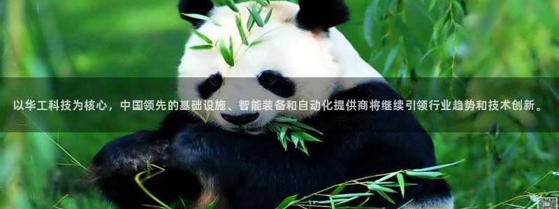 以华工科技为核心，中国领先的基础设施、智能装备和自动化提供商将继续引领行业趋势和技术创新。
