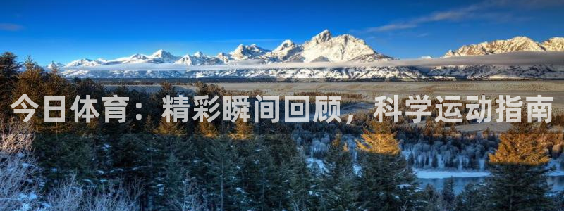 今日体育：精彩瞬间回顾，科学运动指南