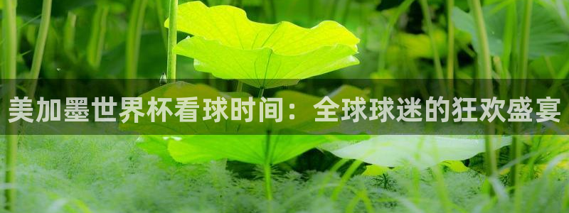 美加墨世界杯看球时间：全球球迷的狂欢盛宴