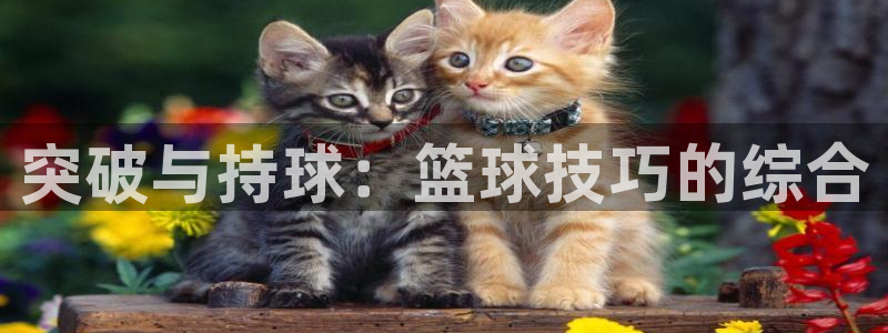 突破与持球：篮球技巧的综合
