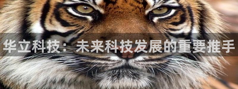 华立科技：未来科技发展的重要推手