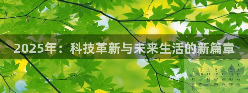 2025年：科技革新与未来生活的新篇章