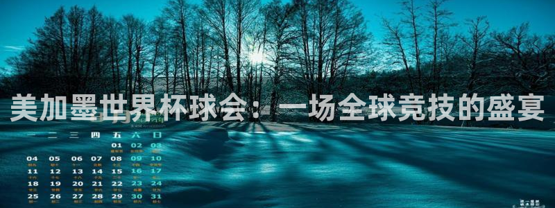美加墨世界杯球会：一场全球竞技的盛宴