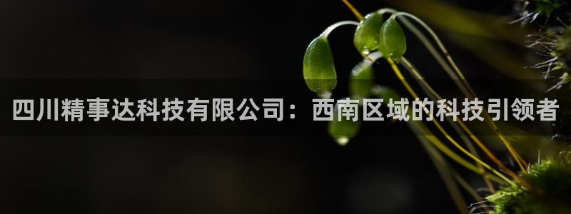 四川精事达科技有限公司：西南区域的科技引领者