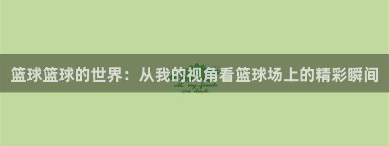 篮球篮球的世界：从我的视角看篮球场上的精彩瞬间