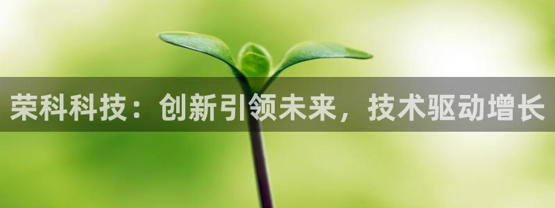 荣科科技：创新引领未来，技术驱动增长