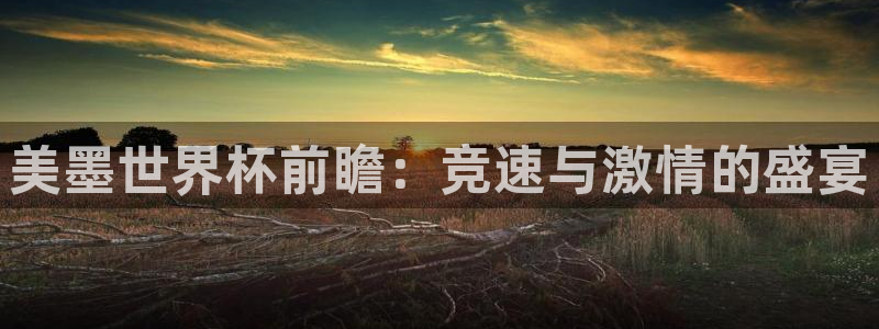 美墨世界杯前瞻：竞速与激情的盛宴