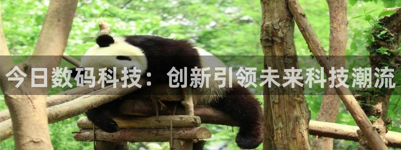 今日数码科技：创新引领未来科技潮流