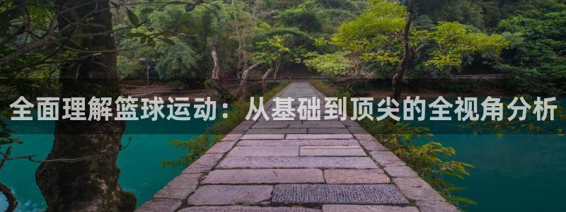 全面理解篮球运动：从基础到顶尖的全视角分析