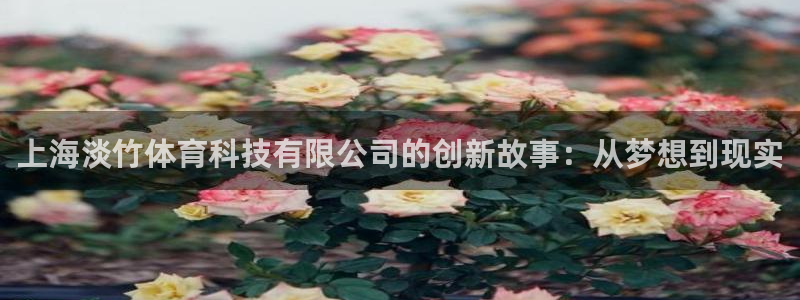 上海淡竹体育科技有限公司的创新故事：从梦想到现实