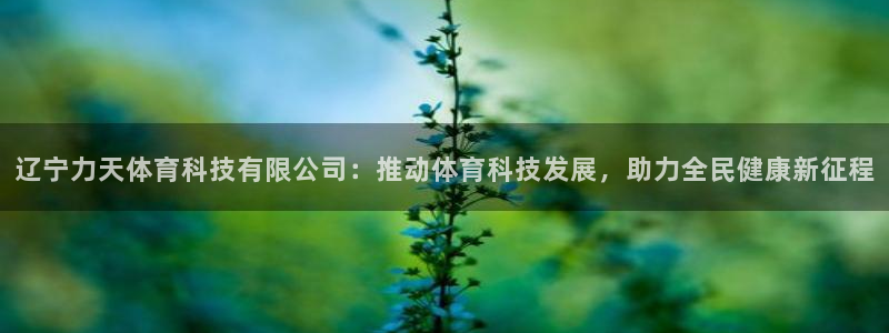 辽宁力天体育科技有限公司：推动体育科技发展，助力全民健康新征程