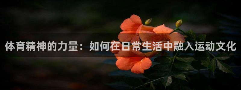 体育精神的力量：如何在日常生活中融入运动文化