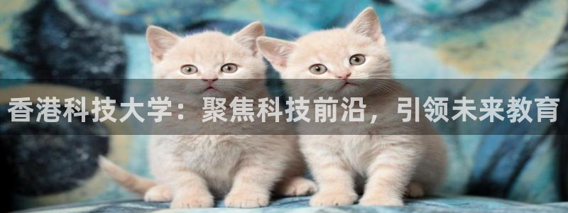 香港科技大学：聚焦科技前沿，引领未来教育