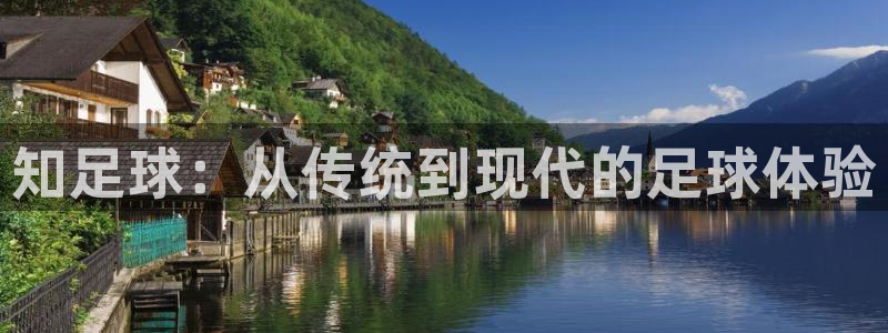 知足球：从传统到现代的足球体验