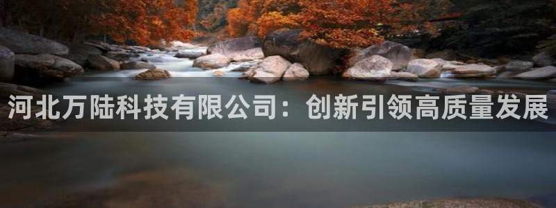 河北万陆科技有限公司：创新引领高质量发展