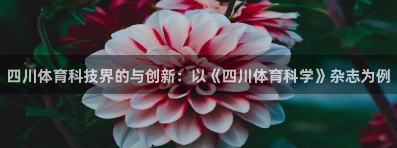 四川体育科技界的与创新：以《四川体育科学》杂志为例