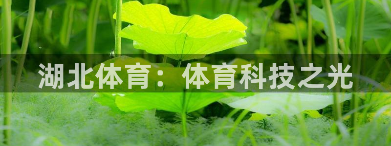 湖北体育：体育科技之光